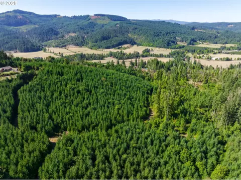 Mccauley Ridge Dr, Springfield, OR 97478 photo 9