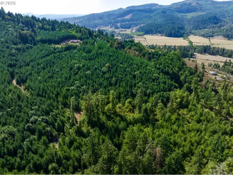 Mccauley Ridge Dr, Springfield, OR 97478 photo 10