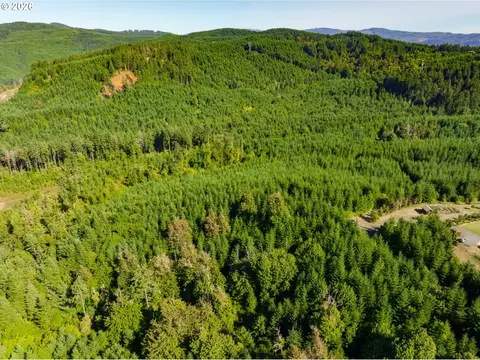 Mccauley Ridge Dr, Springfield, OR 97478 photo 6