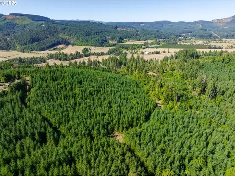 Mccauley Ridge Dr, Springfield, OR 97478 photo 8