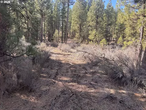 bliss rd, Sprague River, OR 97639 photo 6