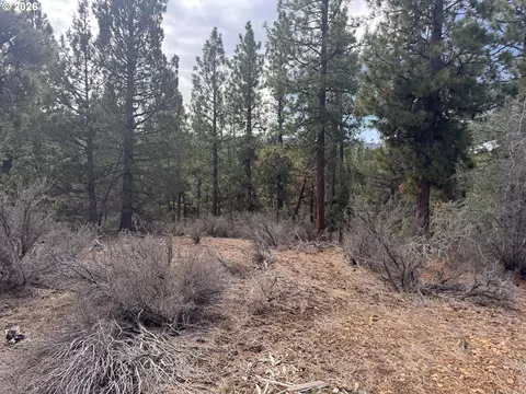 bliss rd, Sprague River, OR 97639 photo 21
