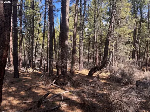 bliss rd, Sprague River, OR 97639 photo 11