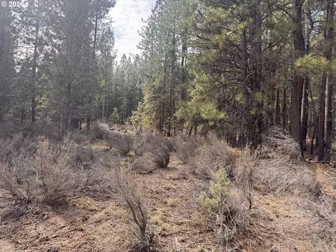 bliss rd, Sprague River, OR 97639 photo 8