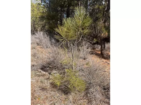 bliss rd, Sprague River, OR 97639 photo 18