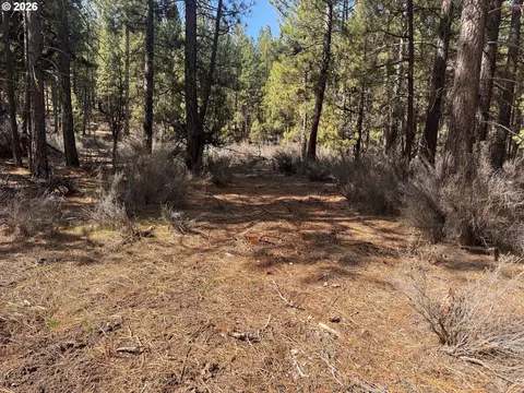 bliss rd, Sprague River, OR 97639 photo 27