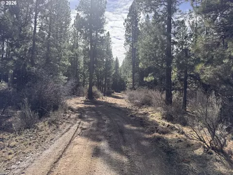 bliss rd, Sprague River, OR 97639 photo 16
