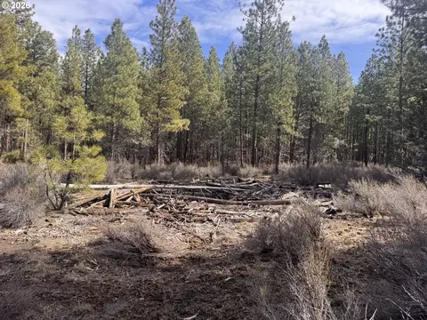 bliss rd, Sprague River, OR 97639 photo 9