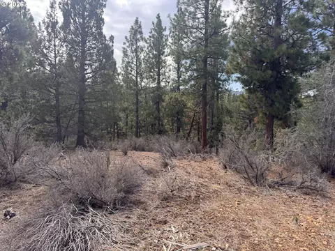 bliss rd, Sprague River, OR 97639 photo 15