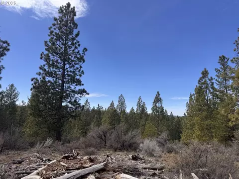 bliss rd, Sprague River, OR 97639 photo 3