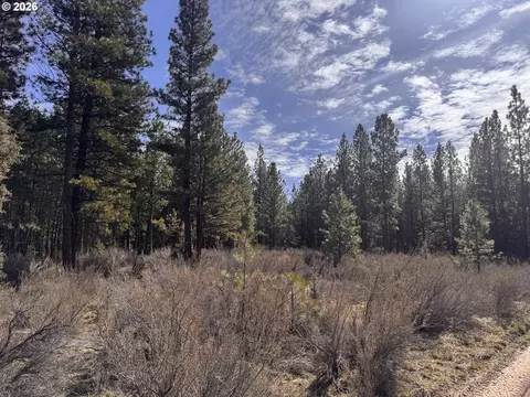 bliss rd, Sprague River, OR 97639 photo 10