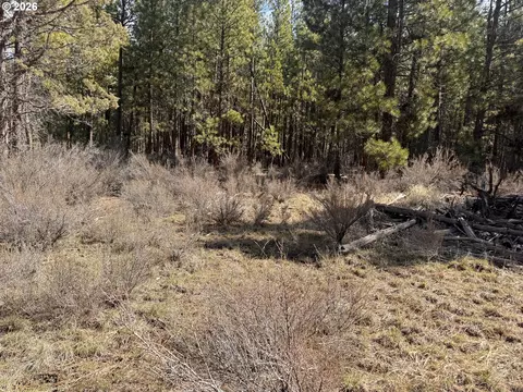 bliss rd, Sprague River, OR 97639 photo 26