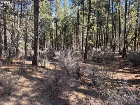 bliss rd, Sprague River, OR 97639 photo 25