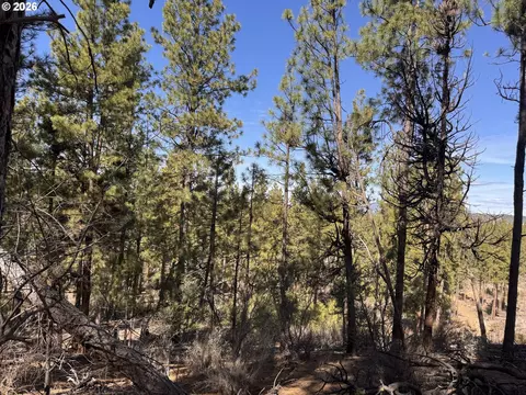 bliss rd, Sprague River, OR 97639 photo 17