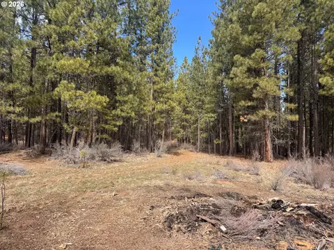 bliss rd, Sprague River, OR 97639 photo 24