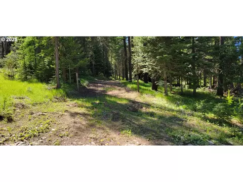 Chief Joseph Loop Rd, Joseph, OR 97846