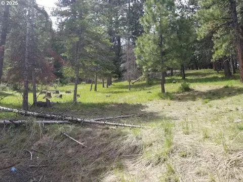 3300 Blake Rnch #LOT 33, Heppner, OR 97836