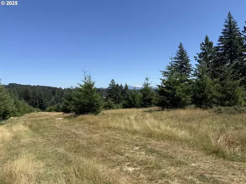 0 NE 277th Ave, Camas, WA 98607