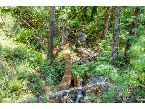 Other - 5424 Little River Rd, Glide, OR 97443 photo 9 of 9