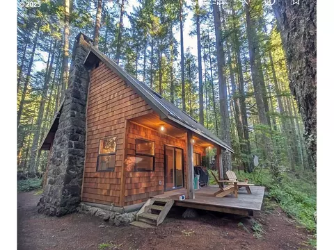78596 E Road 32 #LOT 28, Government Camp, OR 97028