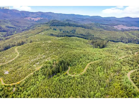 1 Parpala Rd, Naselle, WA 98638