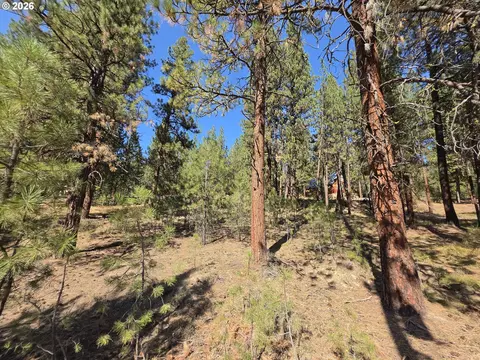 Dewey, Sumpter, OR 97877 photo 9