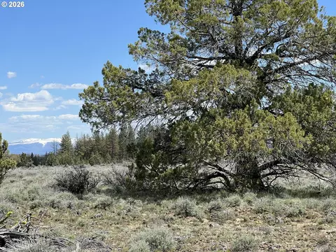 wildpine way, Beatty, OR 97621 photo 4