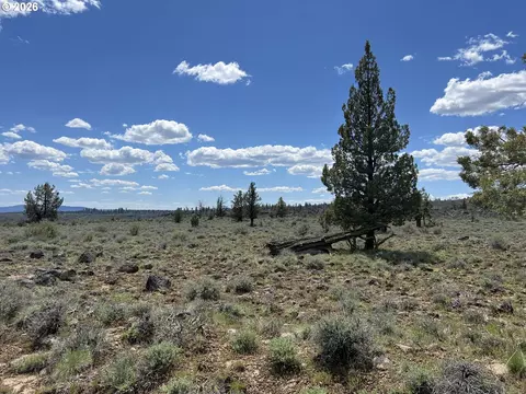 wildpine way, Beatty, OR 97621 photo 3