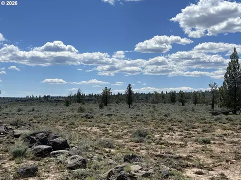 wildpine way, Beatty, OR 97621 photo 7