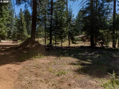 1251 Canyon Rd, Appleton, WA 98602 photo 13