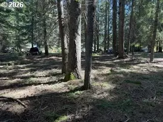 1251 Canyon Rd, Appleton, WA 98602 photo 3