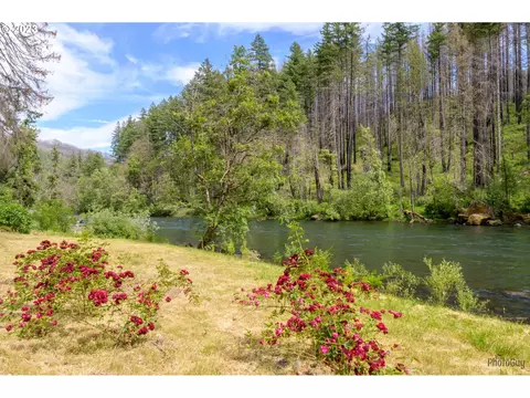 47664 Mckenzie Hwy, Vida, OR 97488