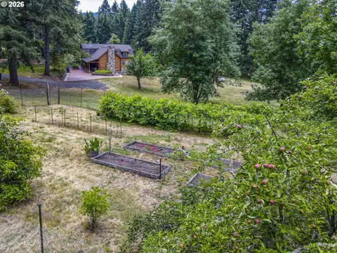 3681 Upper Smith River Rd, Drain, OR 97435 photo 39