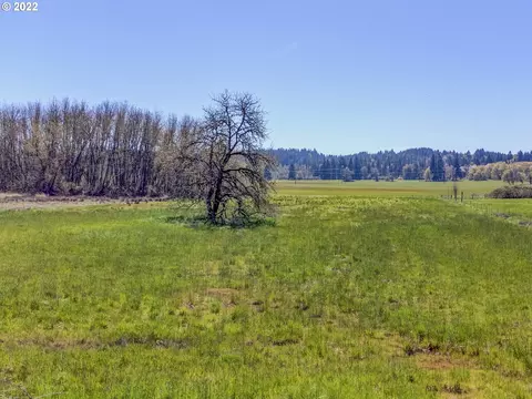 Cantrell Rd, Eugene, OR 97402 photo 6