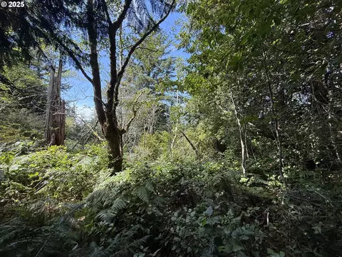Averill Hill Rd, Port Orford, OR 97465