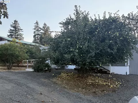 373 Hayhurst Rd, Yoncalla, OR 97499 photo 4