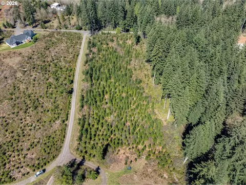 ne 94 st, Camas, WA 98607