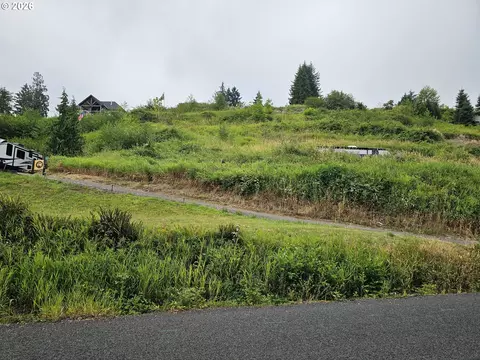 223 Lakeview Dr, Mossyrock, WA 98564