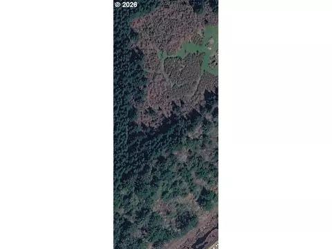 Bernhardt Heights, Florence, OR 97439