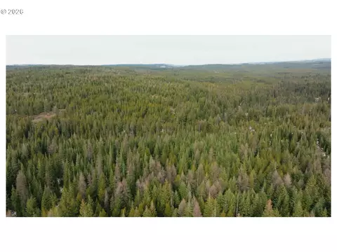 0 Ross Rd, Meacham, OR 97859