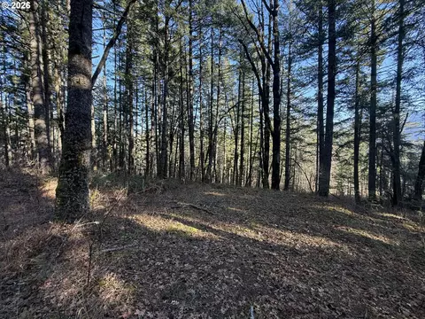 Seward Rd, Carson, WA 98610