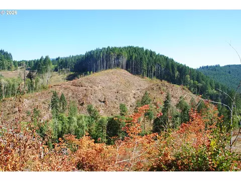 00 Van Horn Rd, Alsea, OR 97324