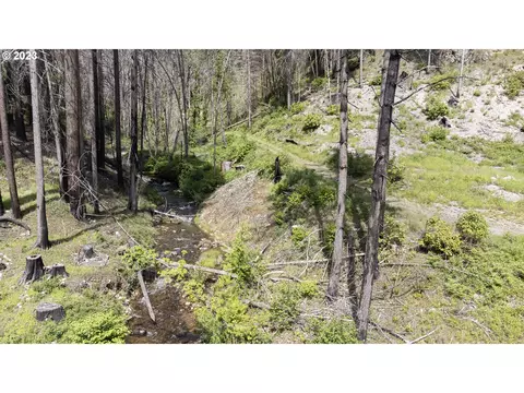 47983 Mckenzie Hwy, Vida, OR 97488