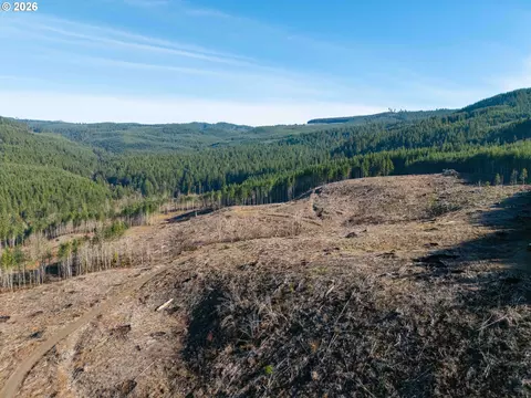 Camp Creek Rd, Springfield, OR 97478 photo 7