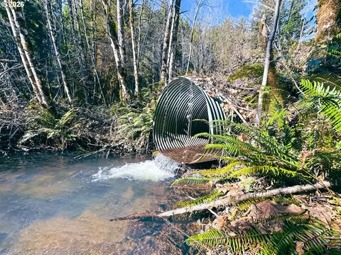 Camp Creek Rd, Springfield, OR 97478 photo 44