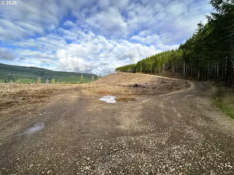 Camp Creek Rd, Springfield, OR 97478 photo 15