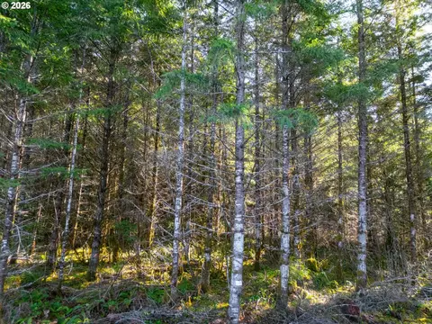 Camp Creek Rd, Springfield, OR 97478 photo 17