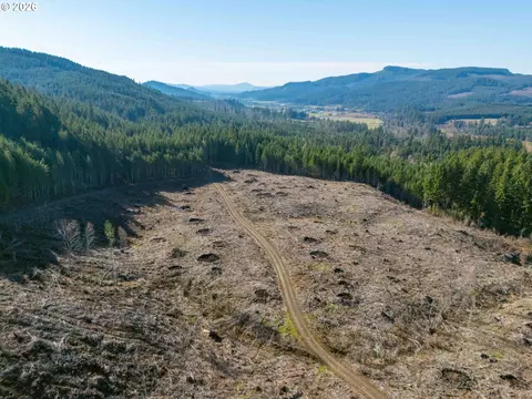 Camp Creek Rd, Springfield, OR 97478 photo 5