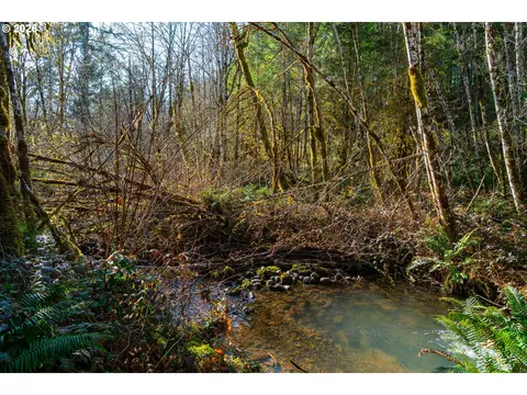 Camp Creek Rd, Springfield, OR 97478 photo 45