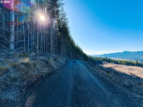 Camp Creek Rd, Springfield, OR 97478 photo 23